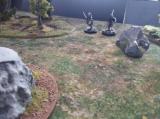 IMG_20260426_063751.jpg