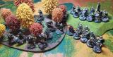 Arnor-555.jpg