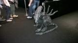 alien.jpg