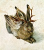 images/avatars/avatar-1068.jpg