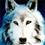 images/avatars/avatar-529.jpg